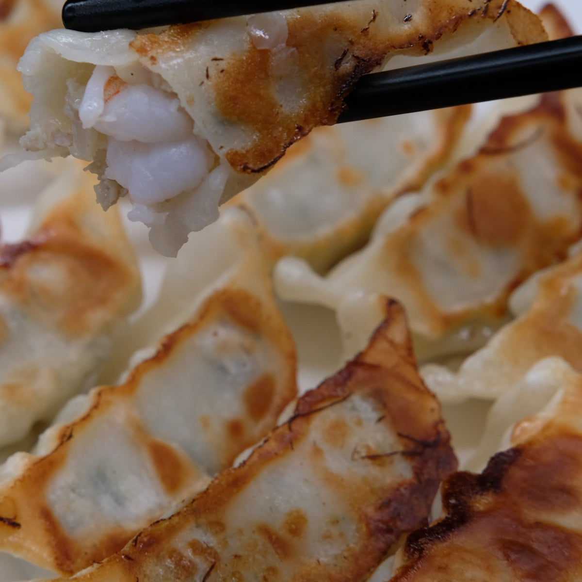 110 鲜虾锅贴(小)
